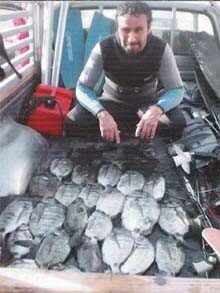 Quil vaut mieux acheter pour la pêche dhiver