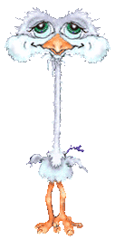 autruche_022