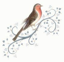oiseau2 douce lumière
