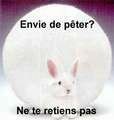 animaux_078B