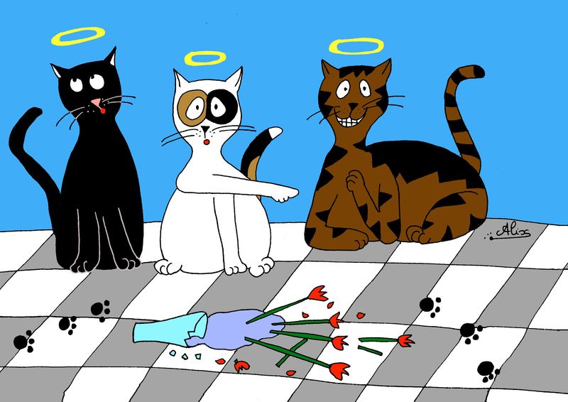 http://p0.storage.canalblog.com/05/43/495479/44092099.jpg