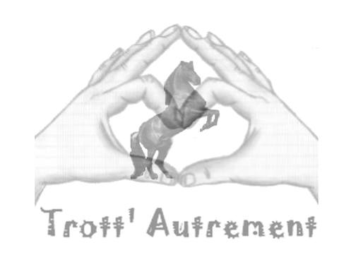 logo trot plaquette (tb)