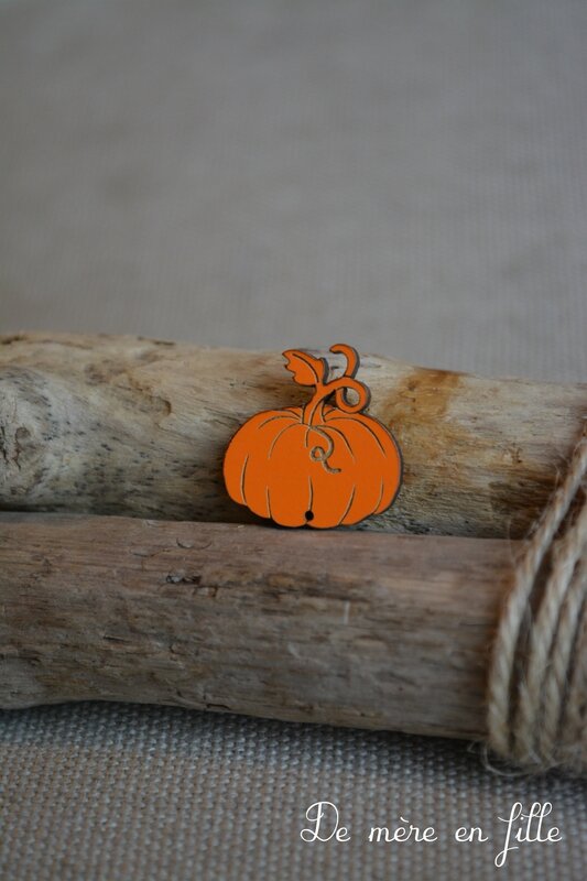 citrouille orange