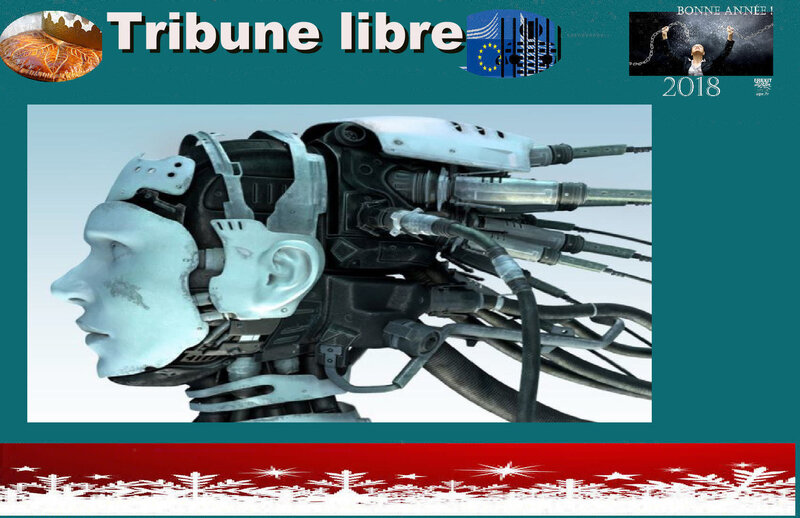 TL CERVEAU