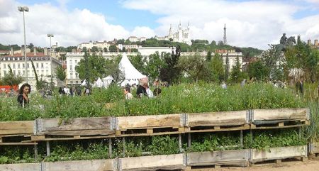 lyonnaturecapitale3