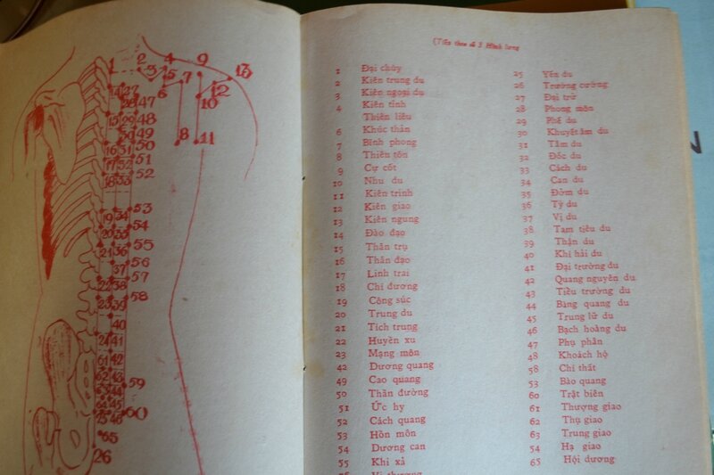 Acupuncture, Cẩm Nang Thực Hành Châm Cứu, 针灸大成, LIRES VIETNAMIEN,