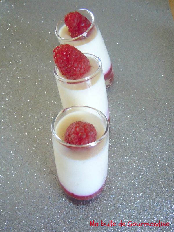 Panna Cotta Noix De Coco Et Framboise Sirop Monin Ma Bulle De