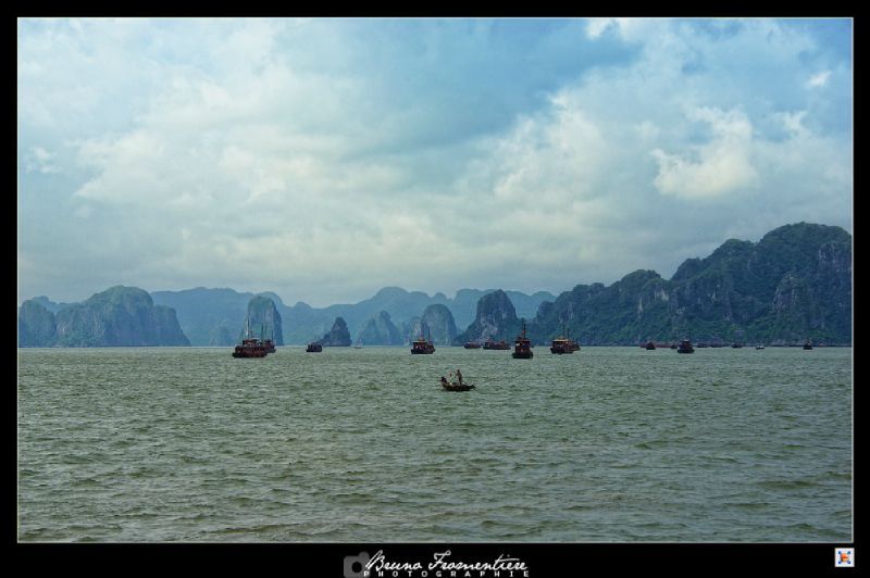 Halong 8