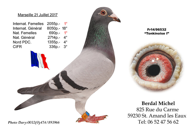 Berdal Michel Tokinoise I
