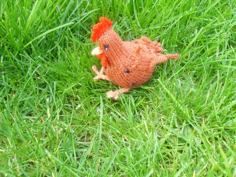 comment tricoter une poule