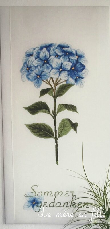 hortensienstiel blau