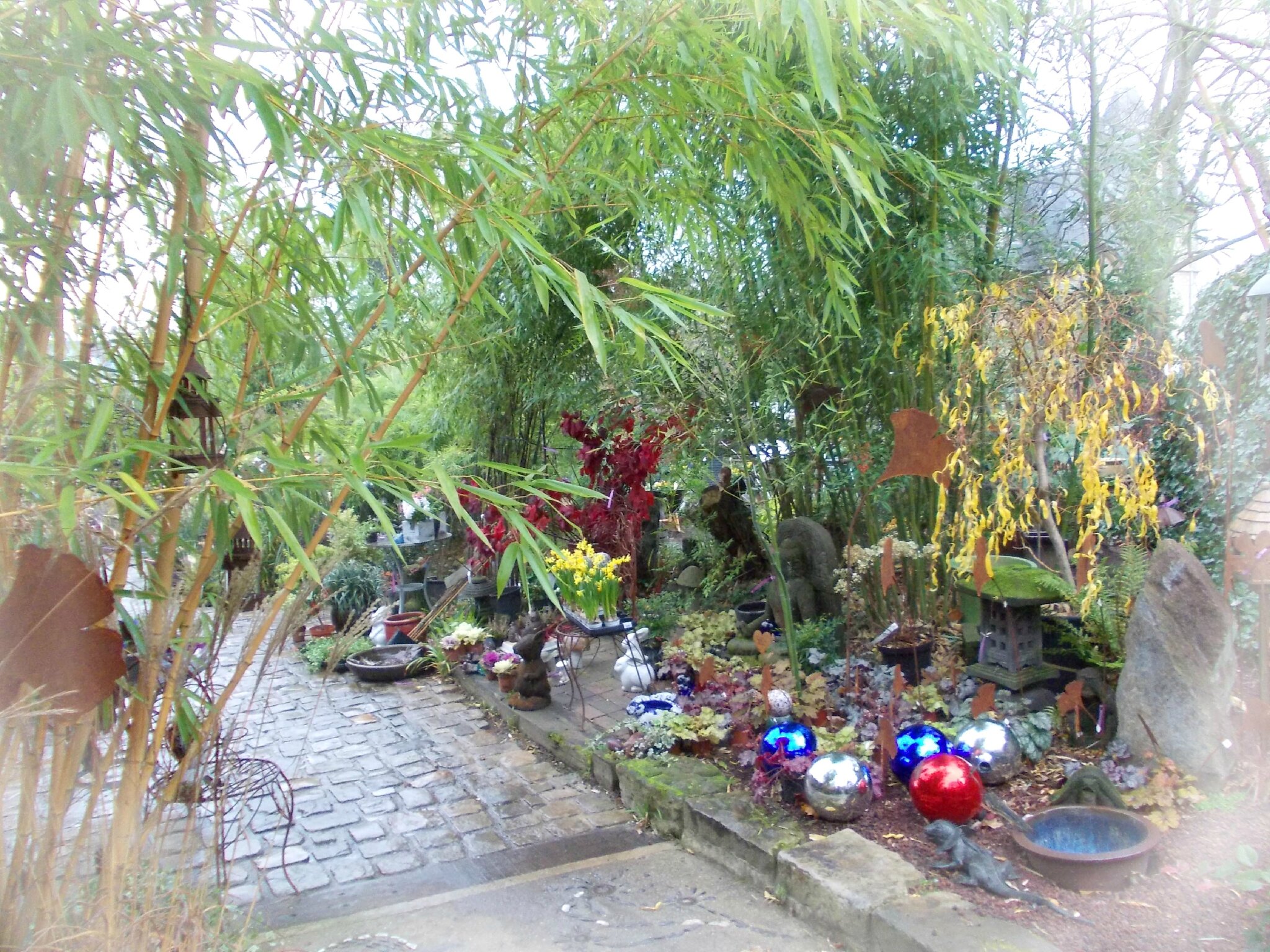 Plantes, paysage et feng shui
