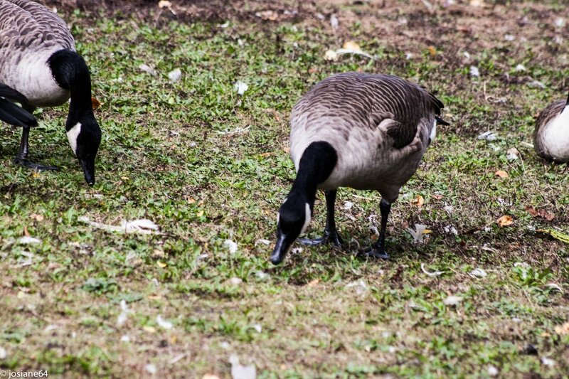IMG_6762