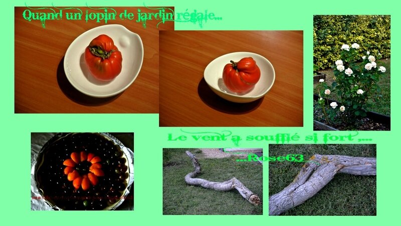 Le vent a soufflé