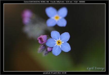 2011_04_29_109