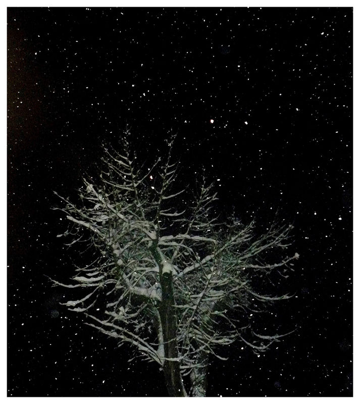 P1120968