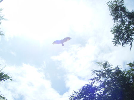 DSCF5013