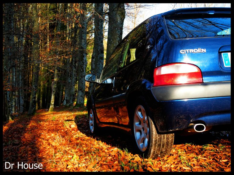salop on t aime nue dans les bois salop on t aime nue dans les bois