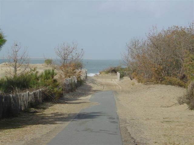 dsc03771-r