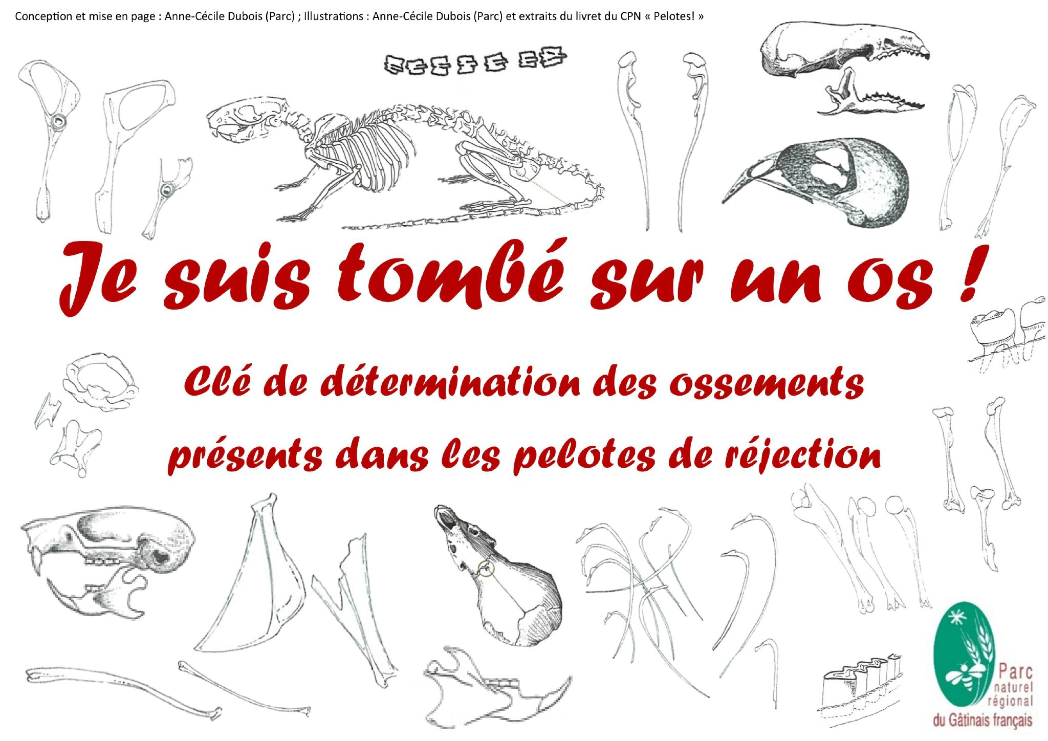 Portfolio d Anne Cécile Dubois 0001 0003