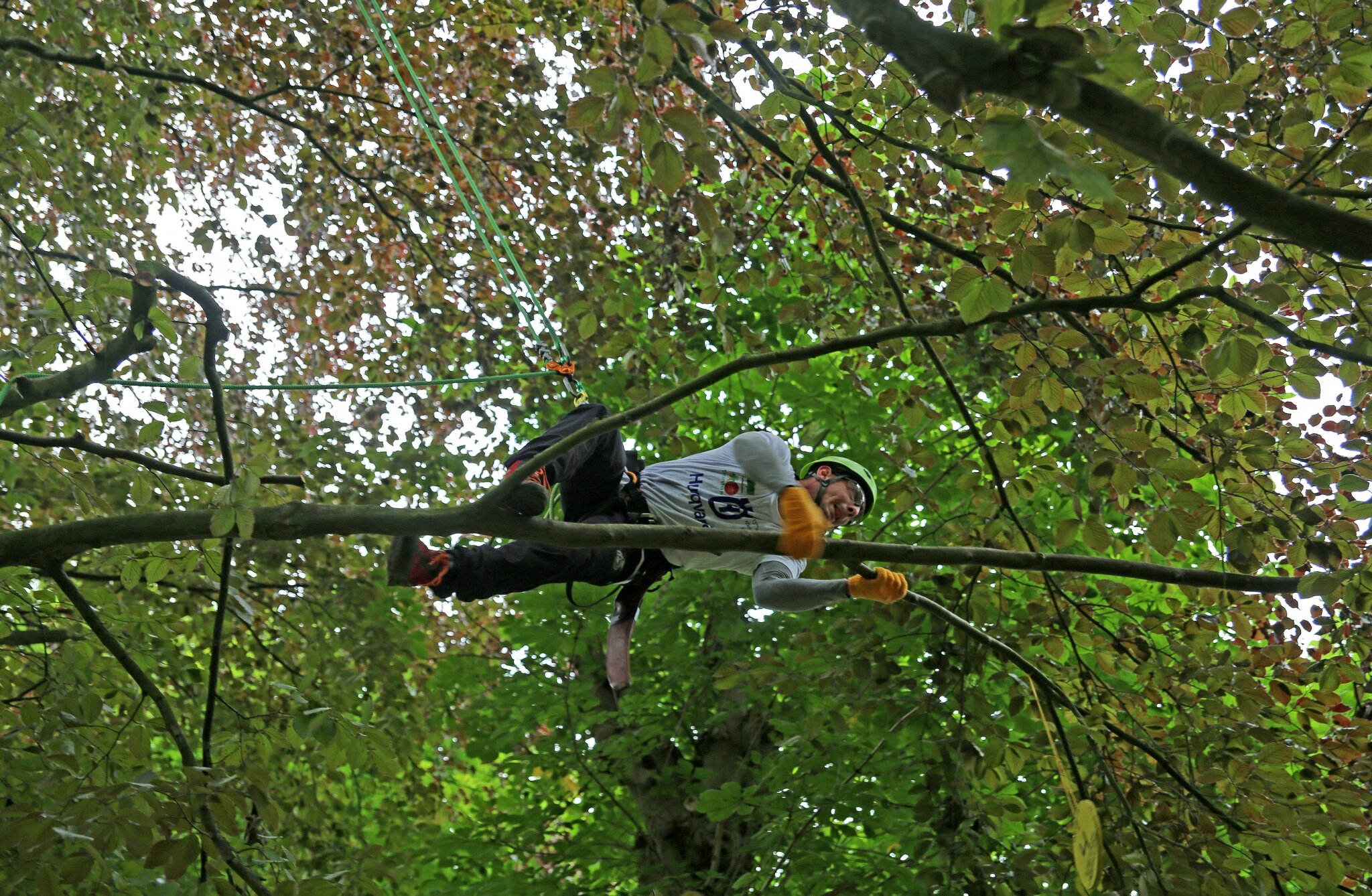 Rencontre regionale d'arboriculture 2016