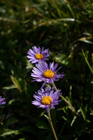 IMGP0748