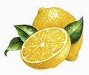 citrons citrons