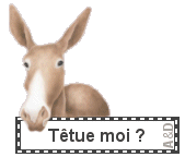 Les cairns racontent leur vie à leur copains - Octobre 2015 - Page 5 85309738_p