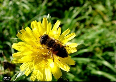Photo_1027