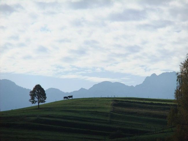 année photo 20111029