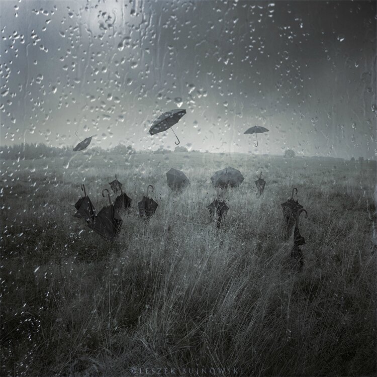 Leszek Bujnowski 7