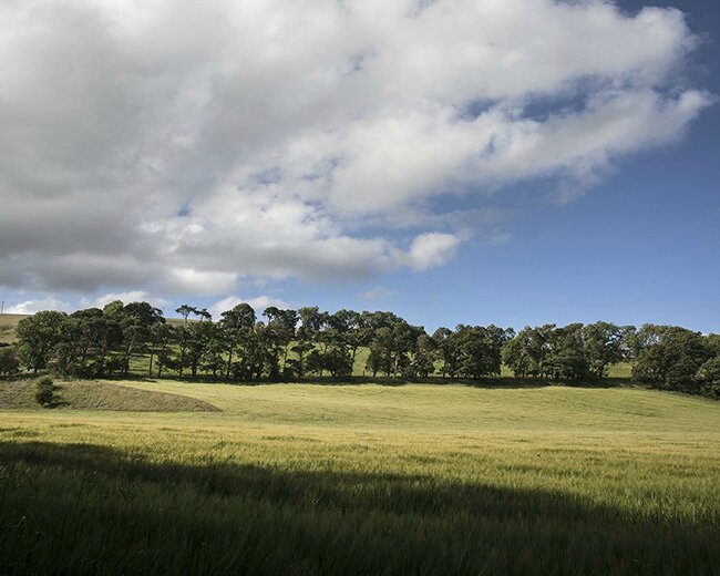 edim pentlands