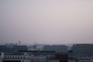 210309