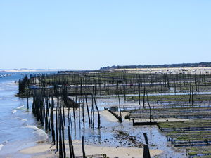 rencontres bassin d arcachon