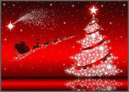 noel 2