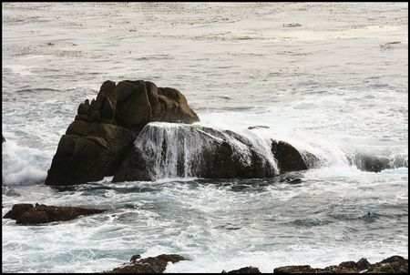 IMG_9381