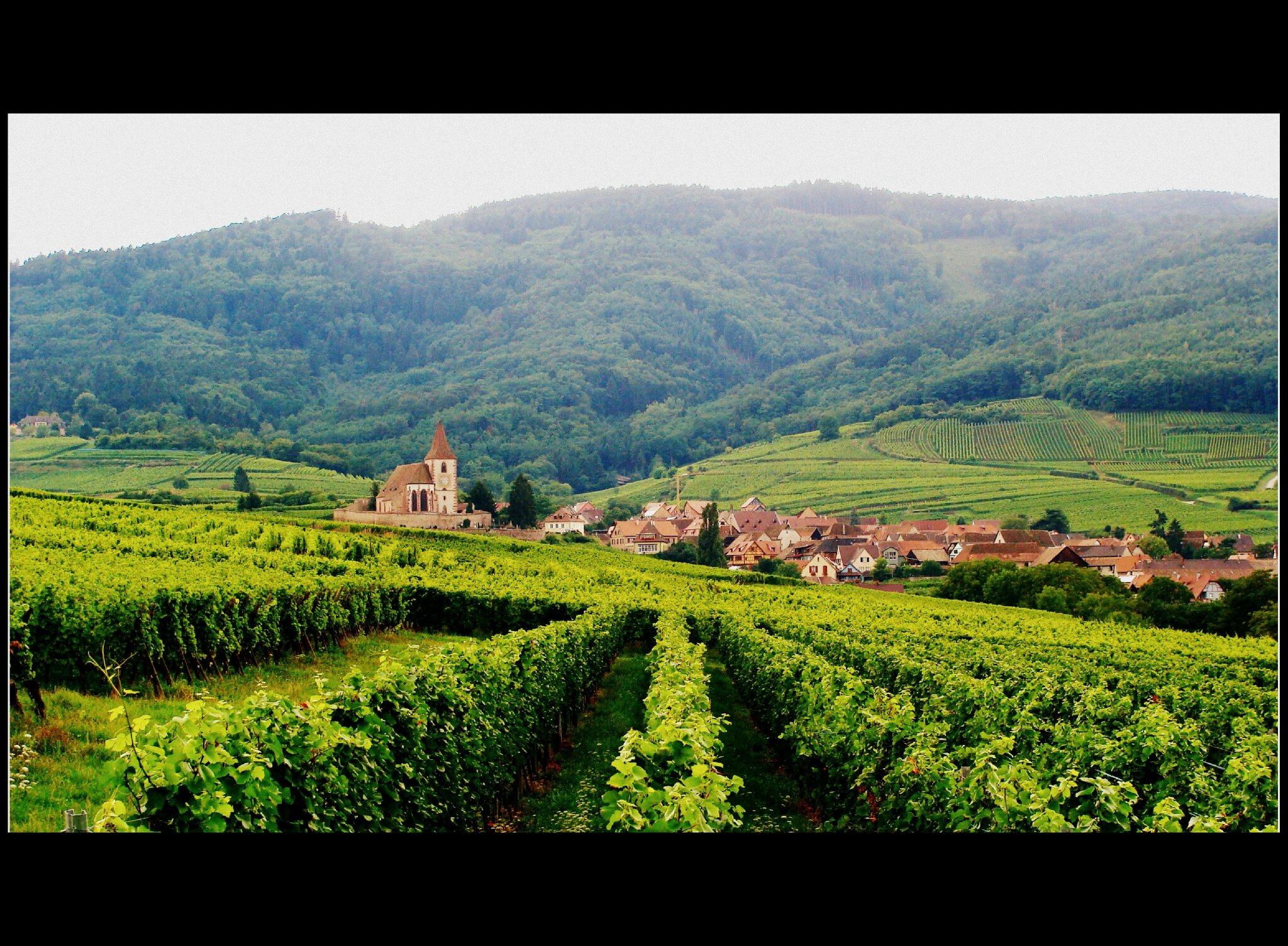 alsace paysage - Image