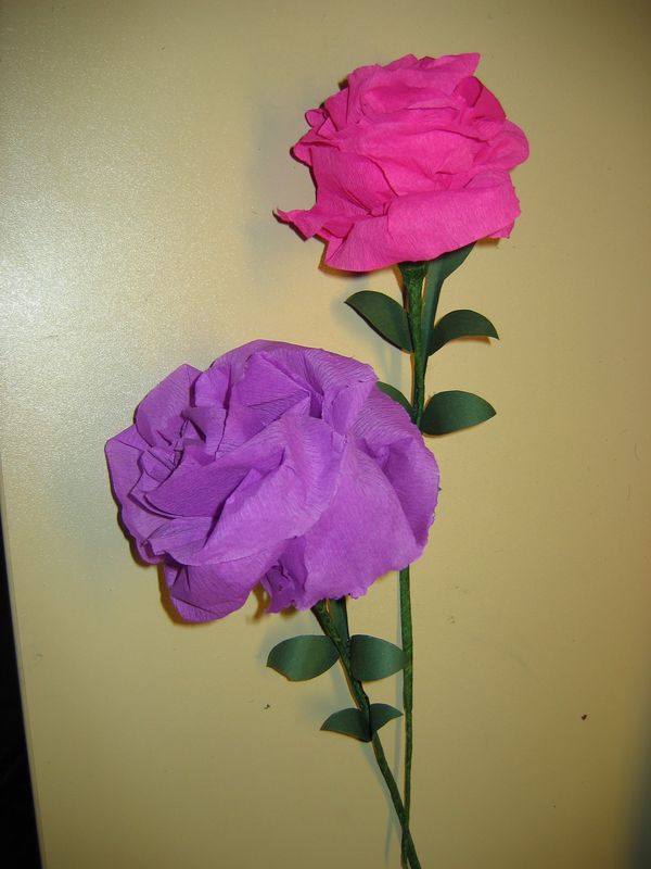 Rose En Rose en