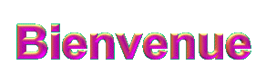 bienvenue_3