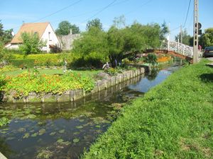 IMG_1631