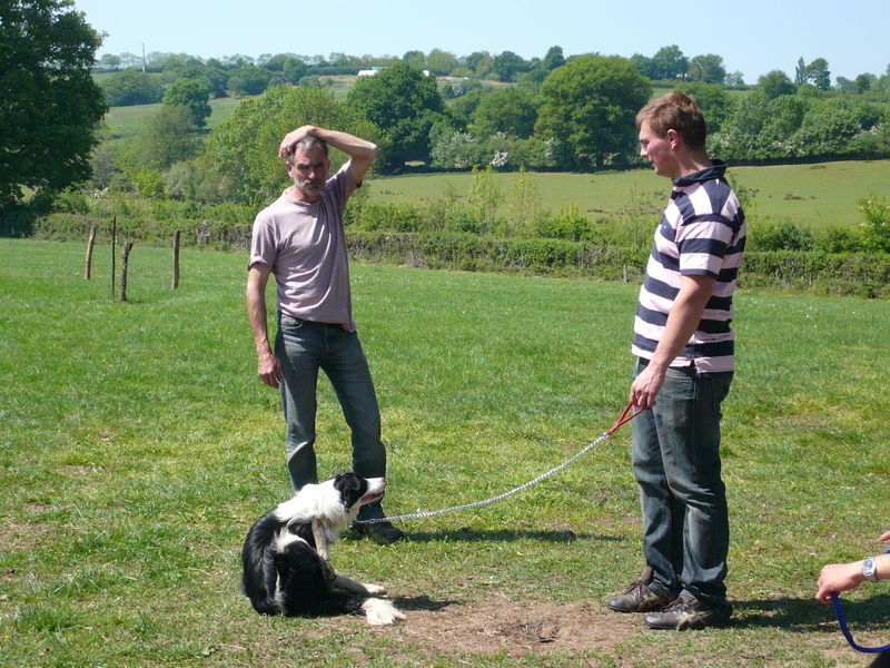 FORMATION DRESSAGE CHIENS DE BERGER - Association des FORMATION DRESSAGE CHIENS DE BERGER - Association des