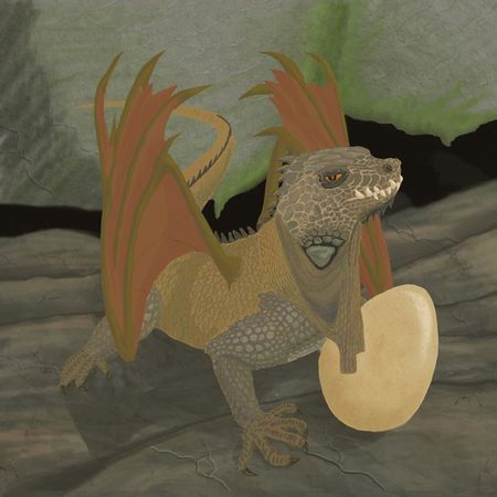 dragooniguane10petit