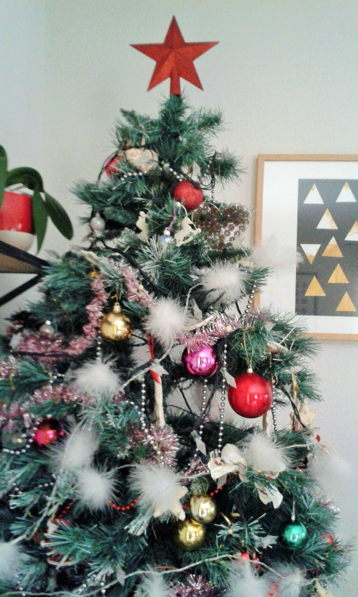 Notre sapin de noël feng shui le vent et lou