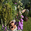 _DSC0054