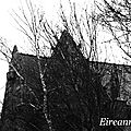 DSC06119