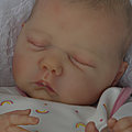 Willa