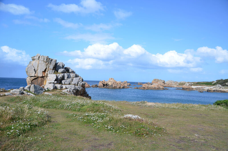 DSC_3559;