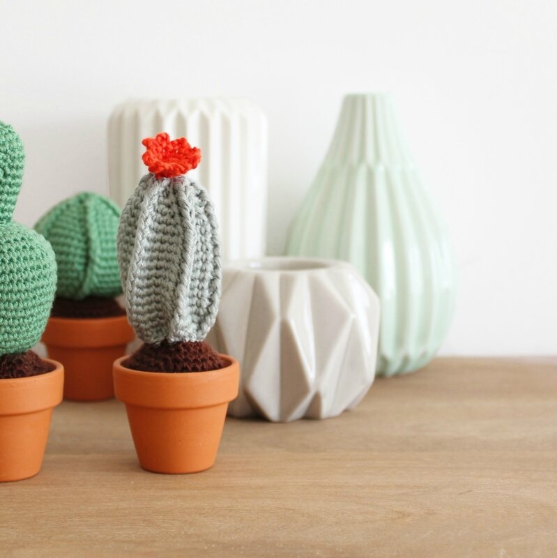 cactus box2