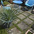 _DSC0007