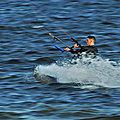 IMG_3530 - Copie
